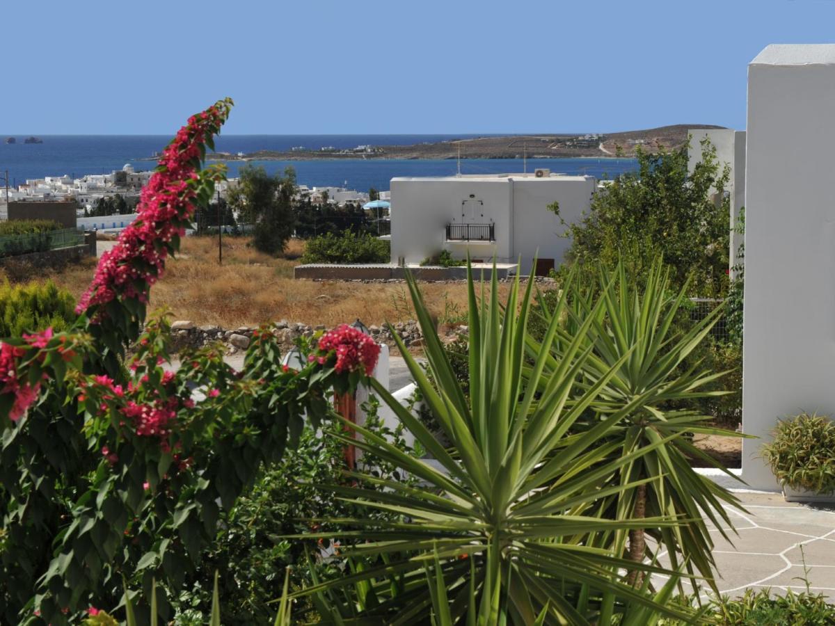 Paros Reppas House "Portes" Zewnętrze zdjęcie